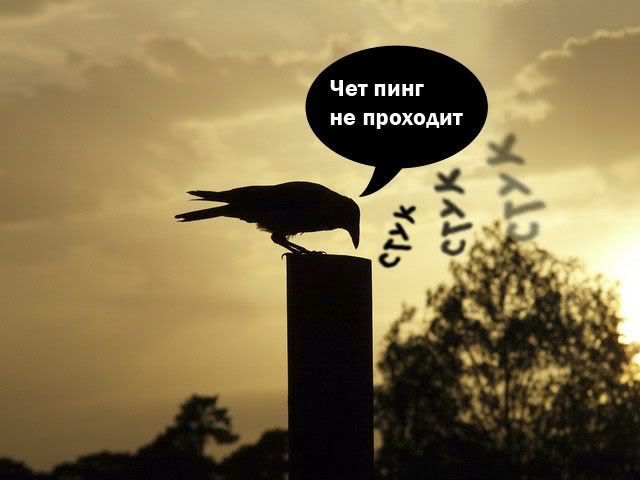 Фотожаба - Ворона на закате (20 шт.)