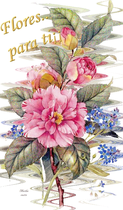 flori3bl9gl.gif Flores para ti image by Lulica_56
