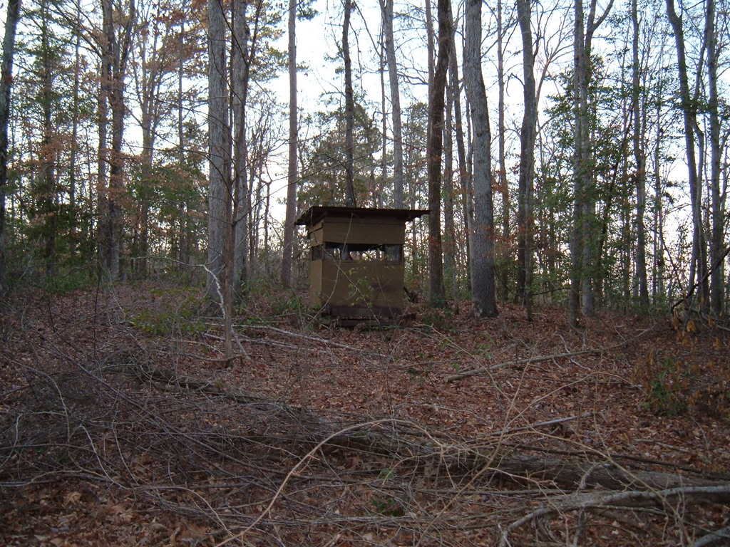 disabled deer hunter Arkansas Hunting