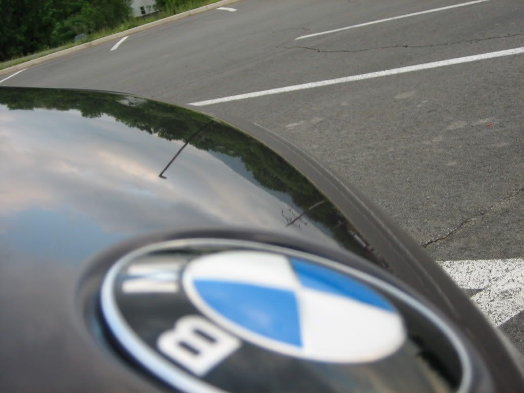 IMG_1661.jpg