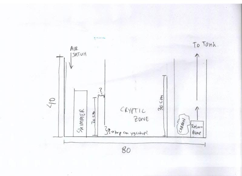 sump-1.jpg