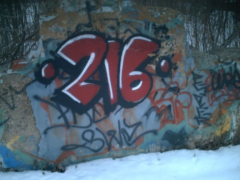 216.jpg