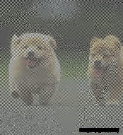 ctrl1.jpg