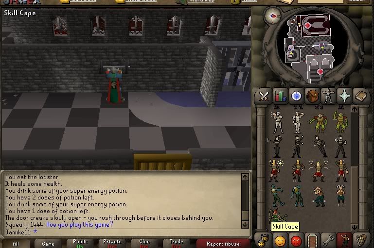 skillcape.jpg