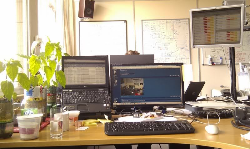 mydesk.jpg