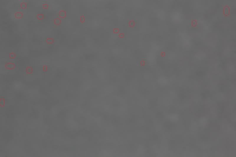 IMAGE: http://i203.photobucket.com/albums/aa179/SilverShark03/blackspots.jpg