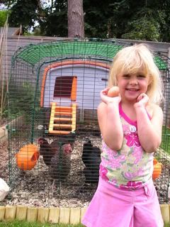 chickens058.jpg