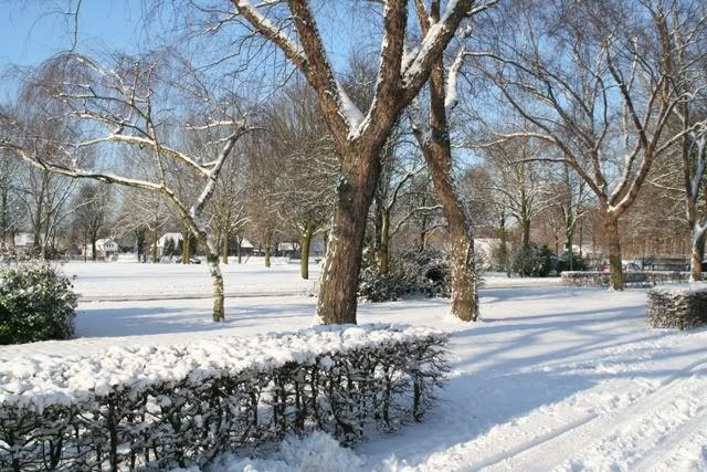 2009_0105_130549AA.jpg
