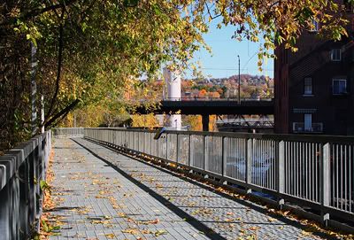 bridge path