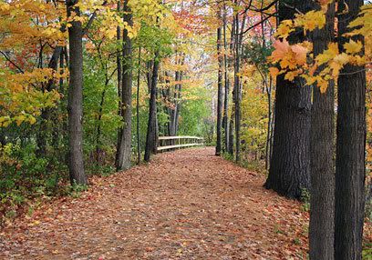 autumn path
