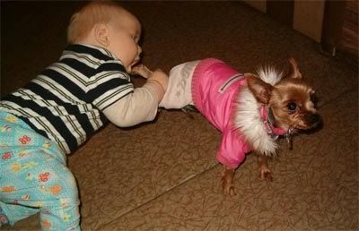 baby_picture_photo.jpg