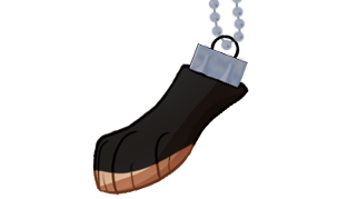 Cassandra's foot charm photo Cass_foot_charm.png