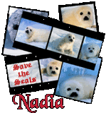 Nadia_SavetheSeals-vi.gif picture by nadia2164