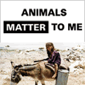 amtm_banner_english_120x1201.gif.gif picture by nadia2164