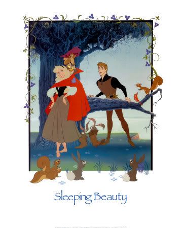 sleeping beauty pictures photograph