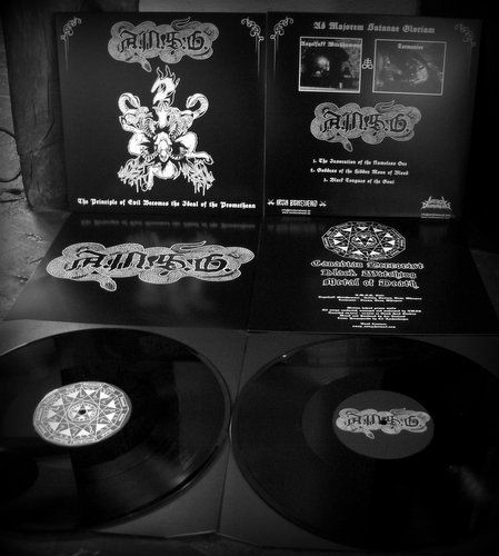 AMSG LP