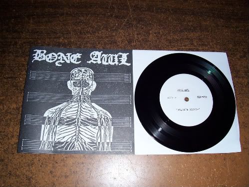 Bone Awl cover
