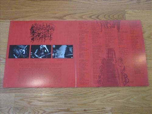 PI noctambulous gatefold