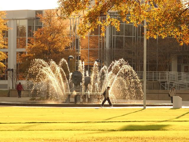 Old Dominion University. Old Dominion University Image