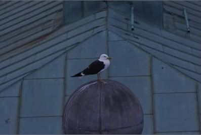 gustavbalkon4.jpg gustavbalkon4.jpg