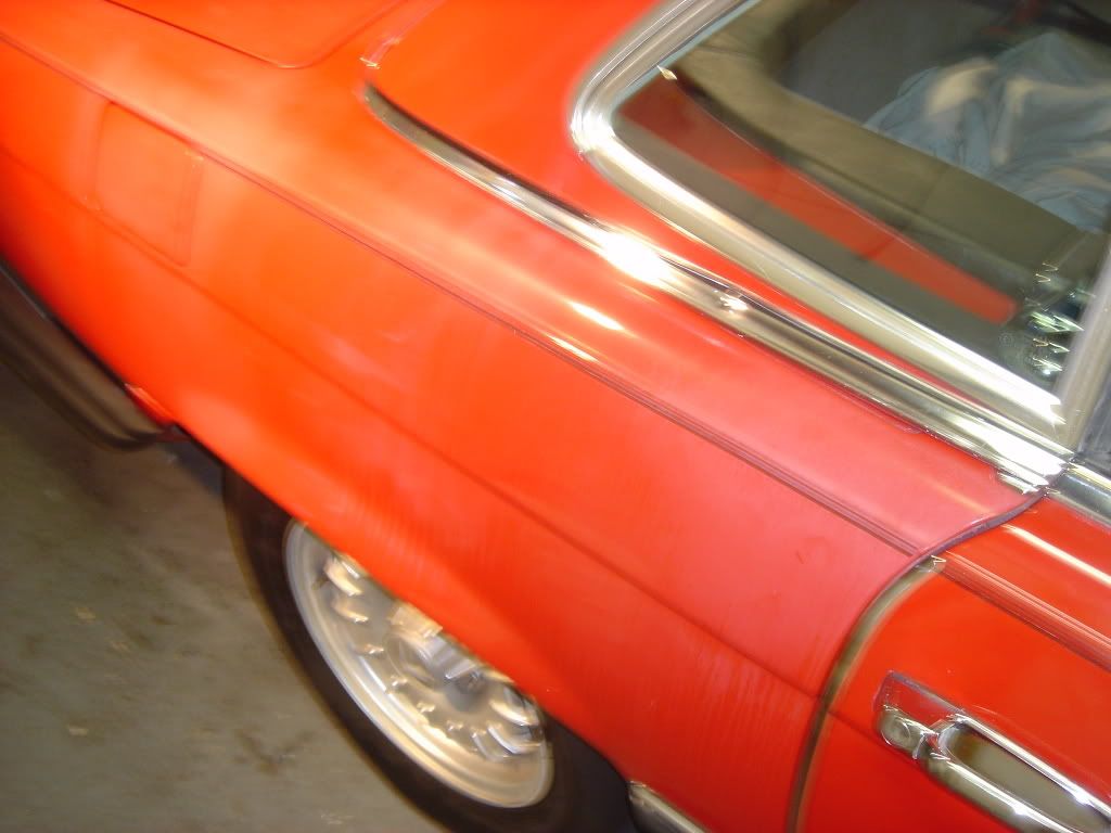 DSC08029.jpg