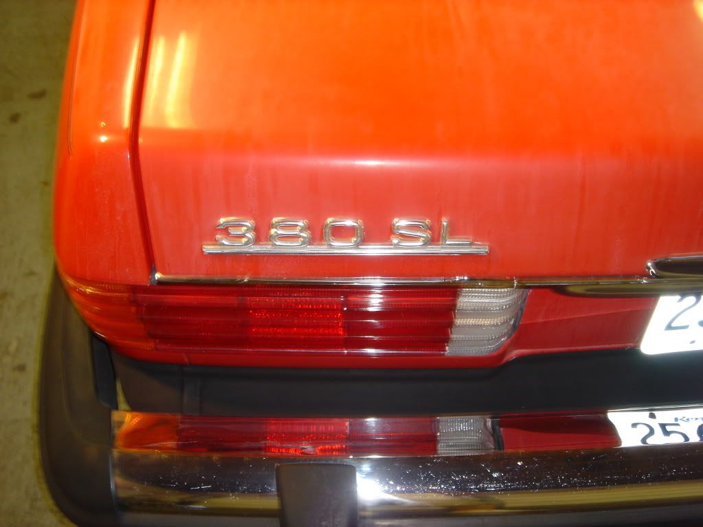 DSC08033.jpg