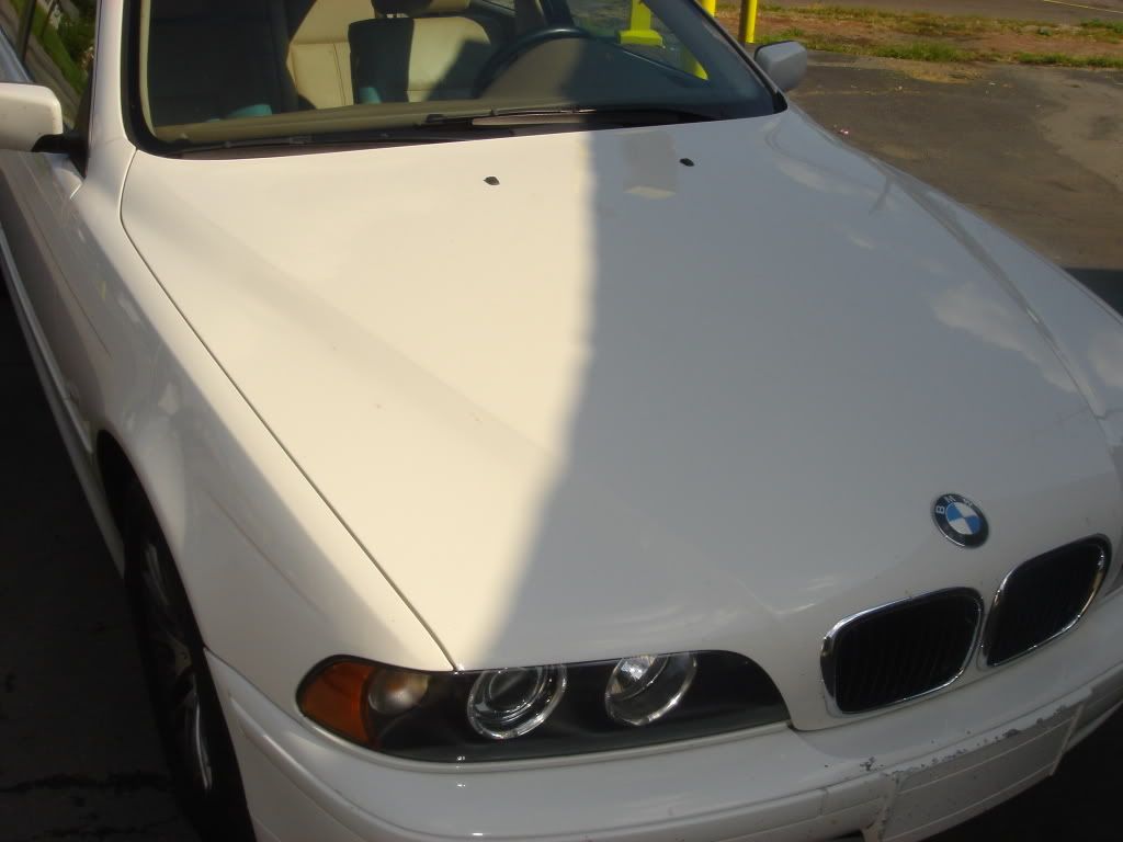 DSC08393.jpg