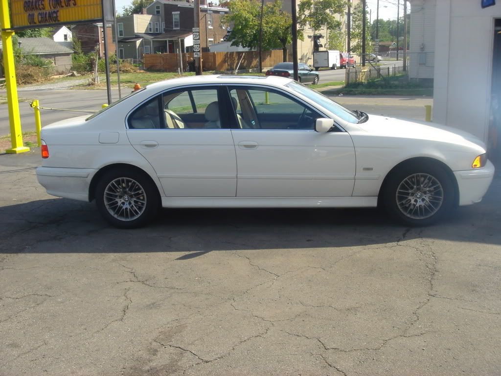 DSC08395.jpg
