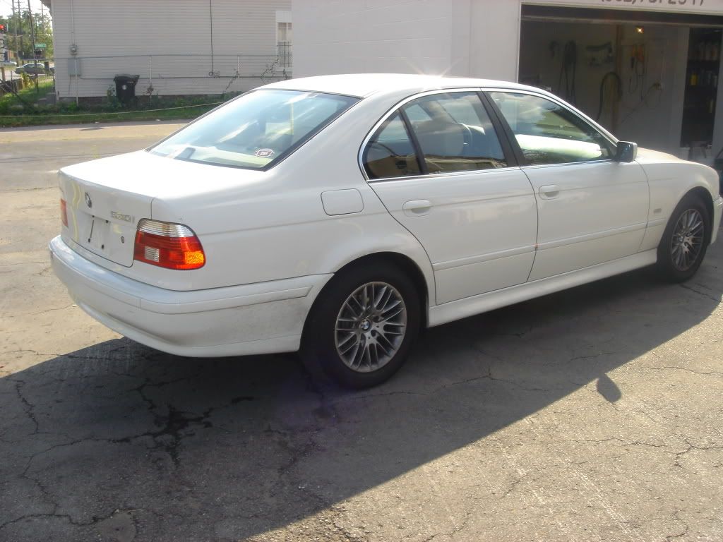 DSC08396.jpg