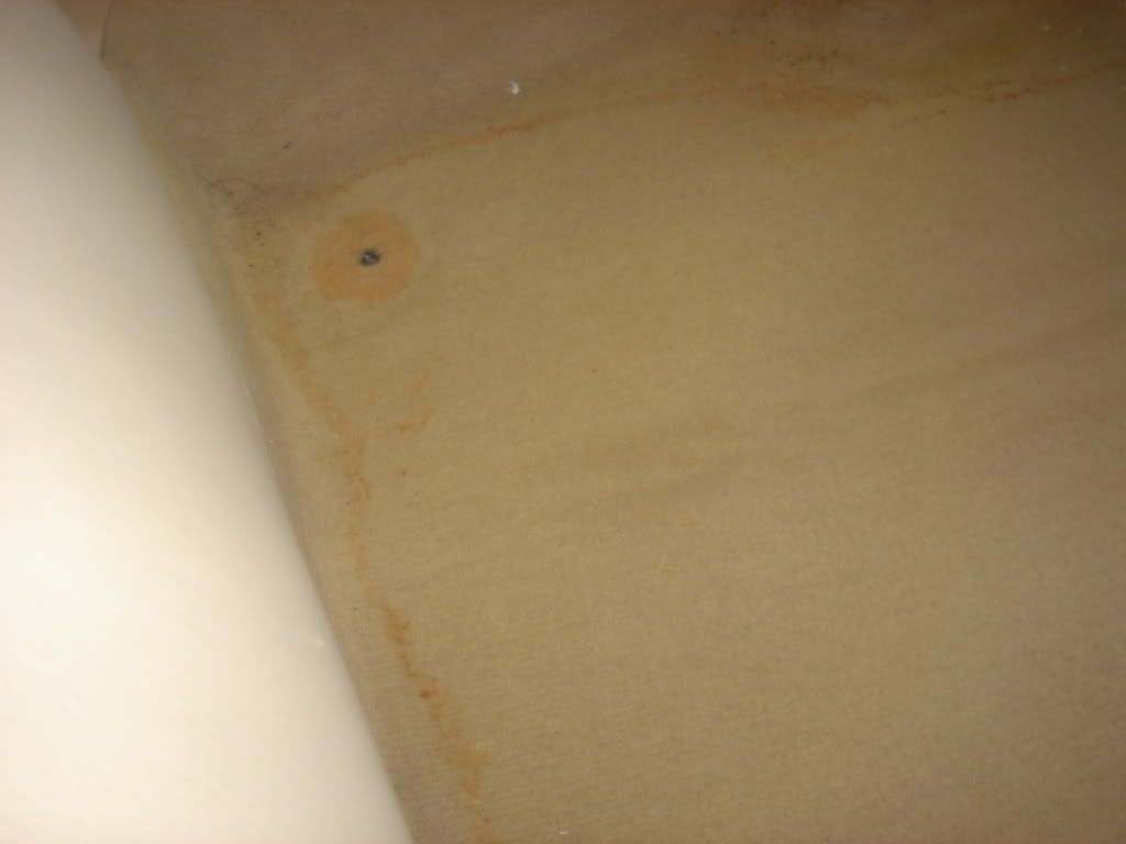 DSC08428.jpg