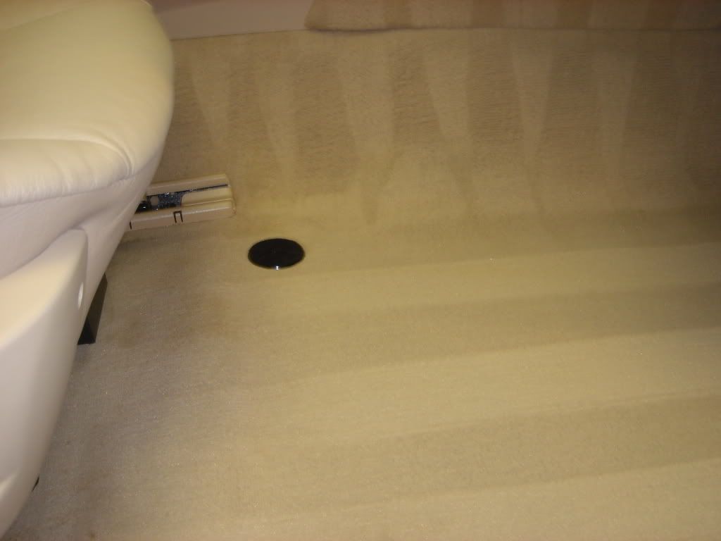DSC08452.jpg