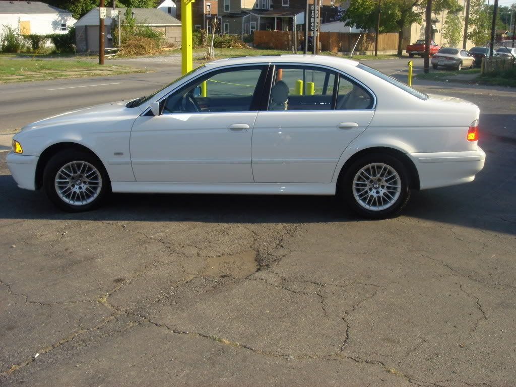DSC08472.jpg