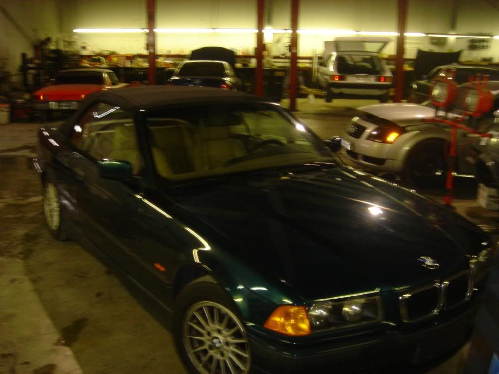DSC08856.jpg
