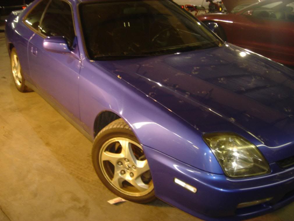 DSC09113.jpg