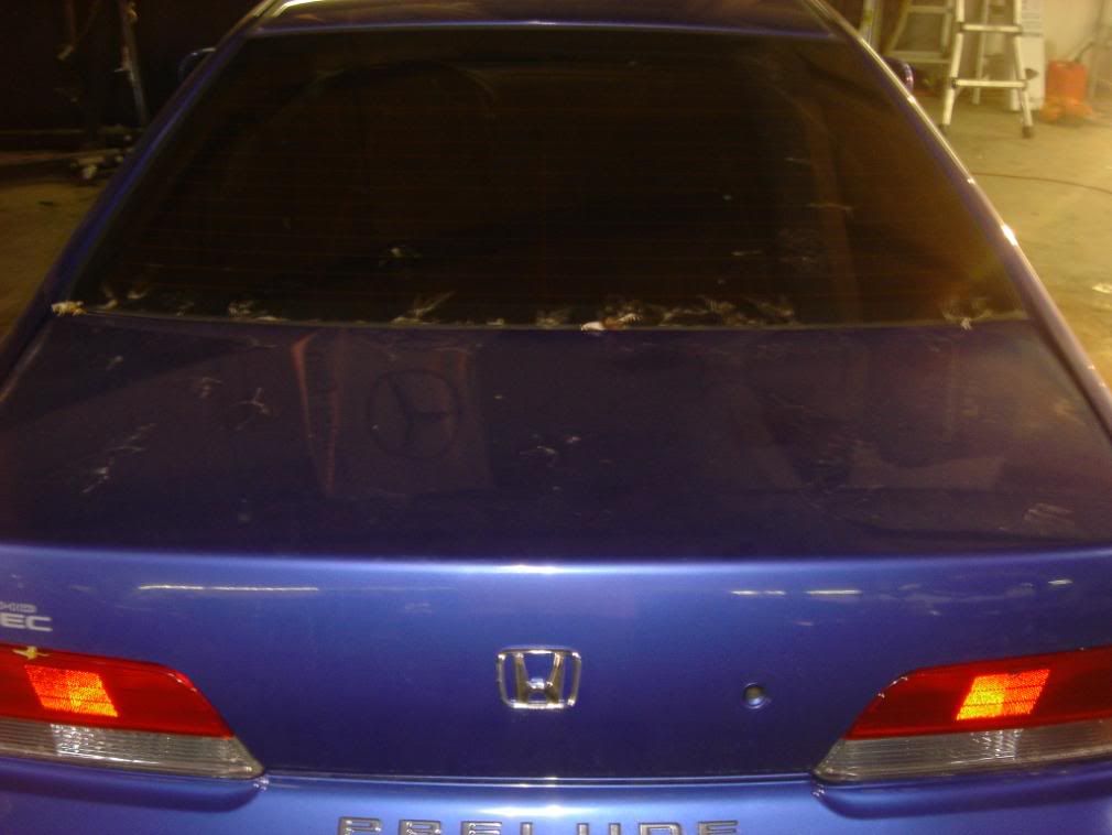 DSC09116.jpg