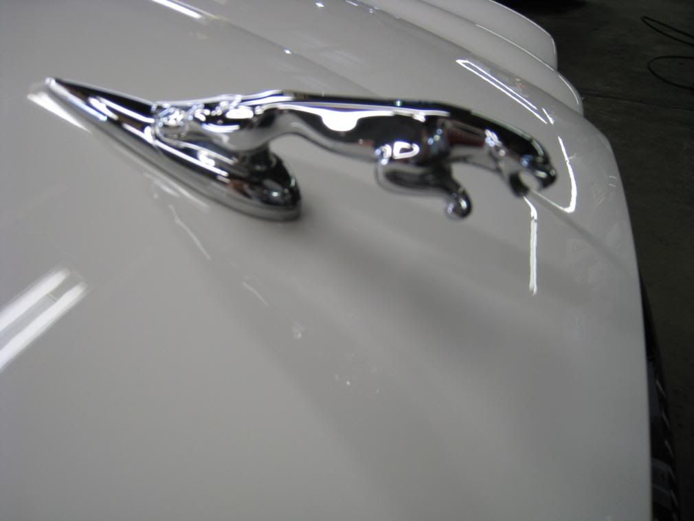 IMAGEAutoDetail05xk8louisvilleky20.jpg