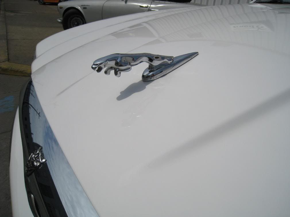 IMAGEAutoDetail05xk8louisvilleky37.jpg