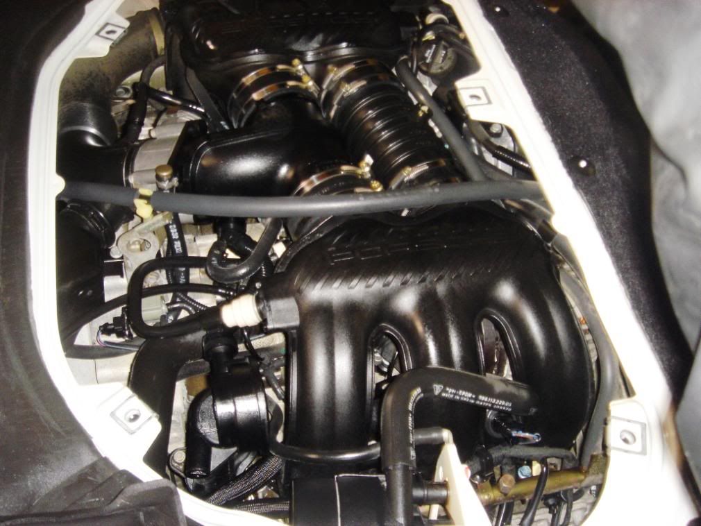 p1.jpg