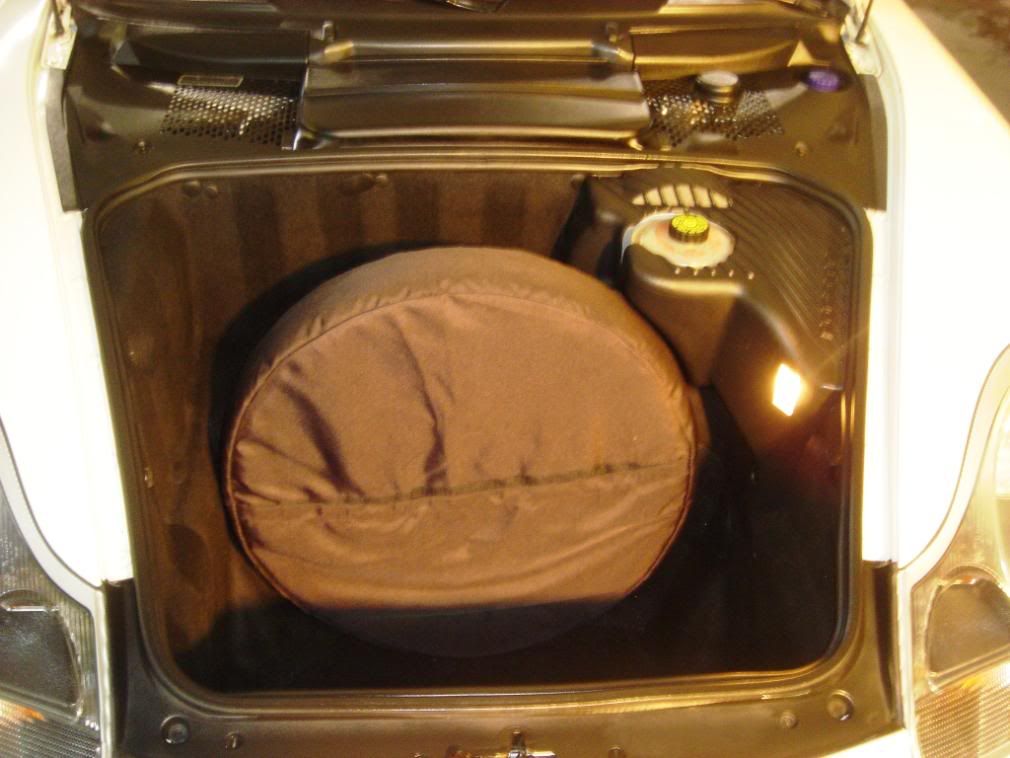 p4.jpg