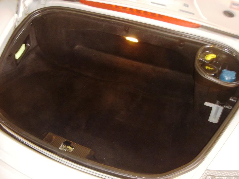 p5.jpg