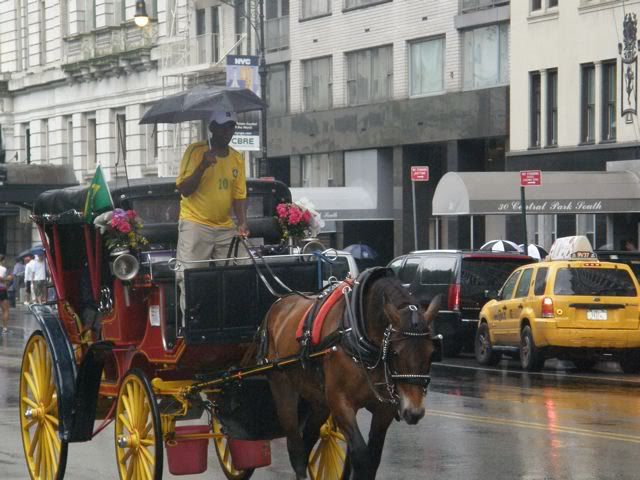 Hurricane Irene,Carriage Horses,Animal Rights,ASPCA,Humane Society,Dangerous Weather Conditions