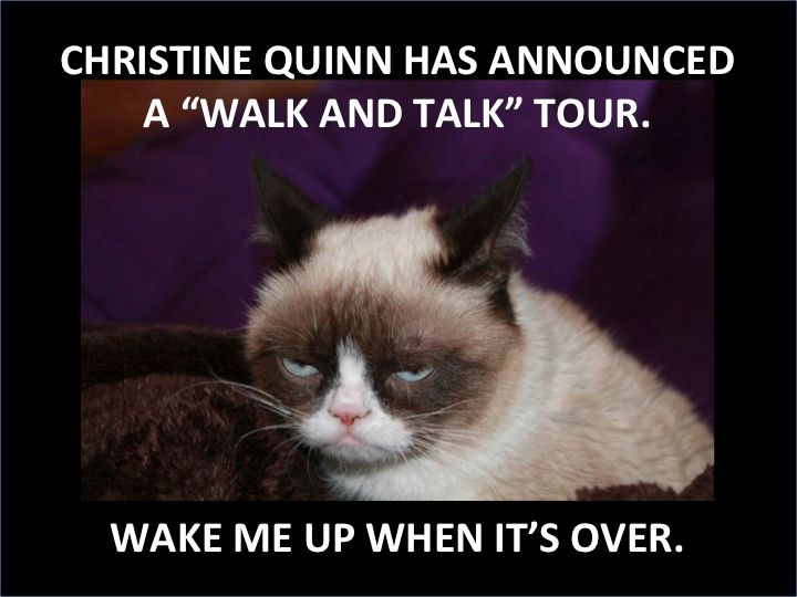 Grumpy-Cat-Christine-Quinn-Walk-Talk-Tour-NYC photo Slide1_zps05c9c7f1.jpg