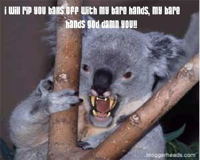 Forum Image: http://i203.photobucket.com/albums/aa236/ducharme_16/zz.jpg