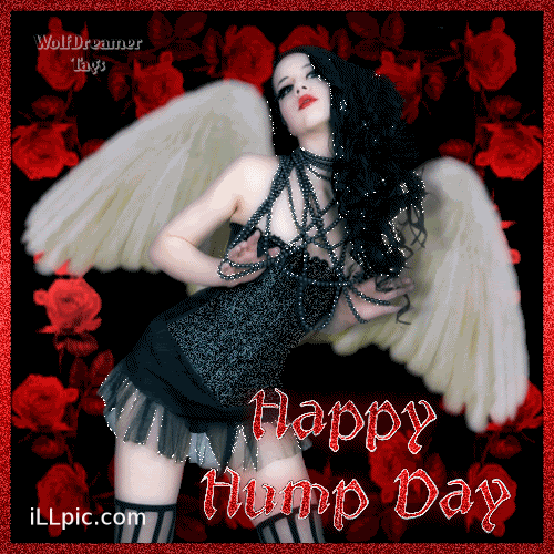 fairy Happy hump Day