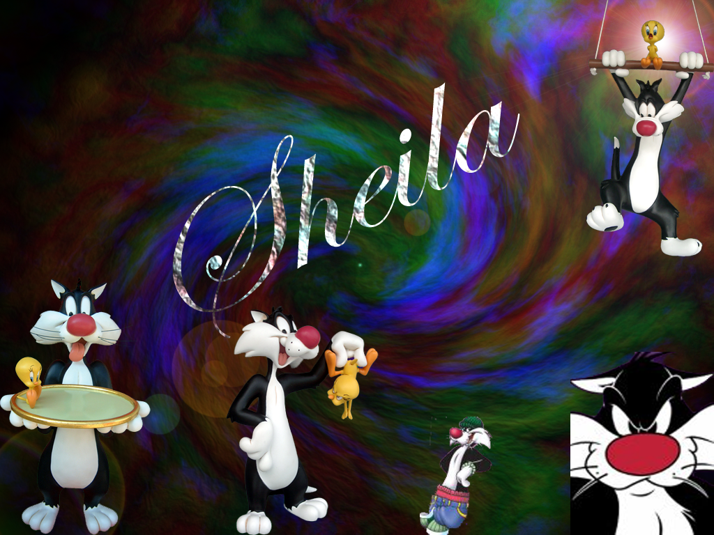 Sheila-Desktop2.png