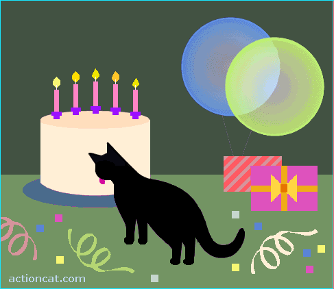 cat.gif