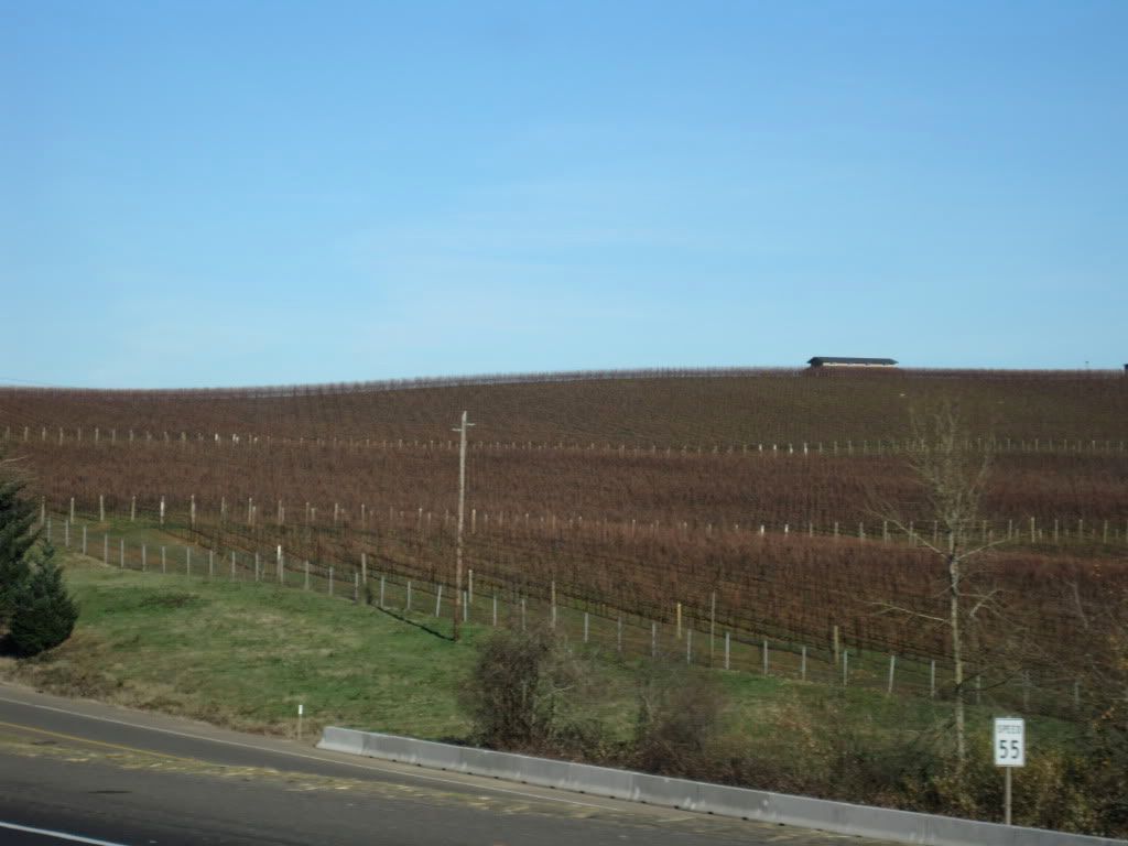 wineinoregon