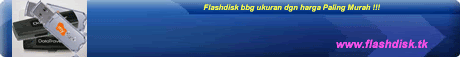 Blog ttg Flashdisk