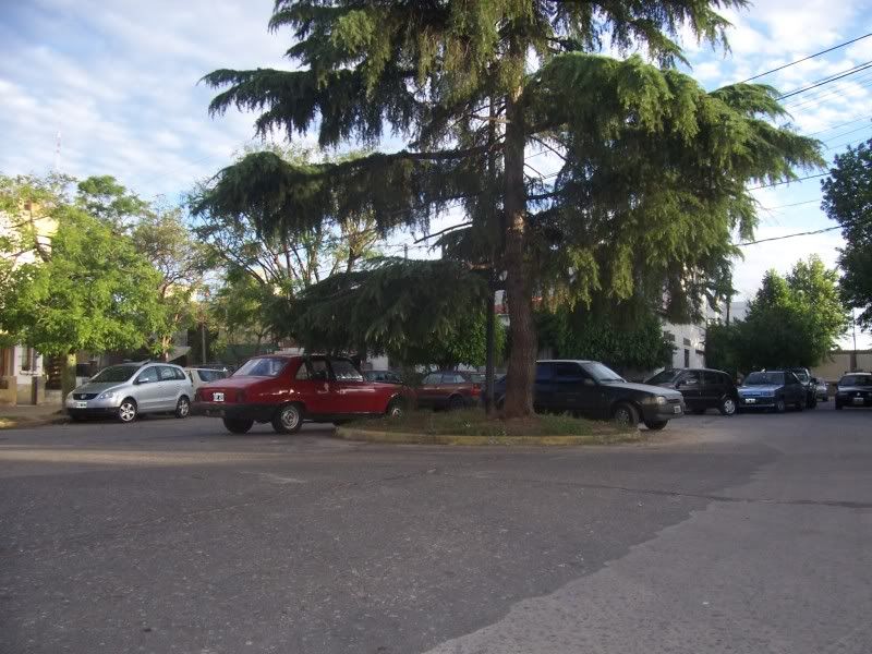 casas casas