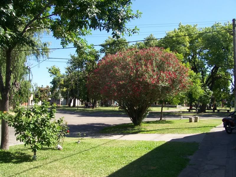 rosario rosario